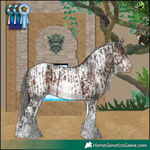 Horse Color:White Spotted Liver Chestnut Appaloosa and White Spotted Brown Tobiano