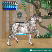 Horse Color:White Spotted Liver Chestnut Varnish  and White Spotted Brown Tobiano 