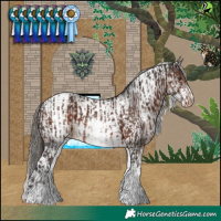 Horse Color:White Spotted Liver Chestnut Varnish  and White Spotted Brown Tobiano 