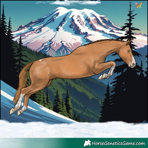 Horse Color:Chestnut Splash Tobiano 