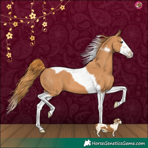 Horse Color:Chestnut Splash Tobiano