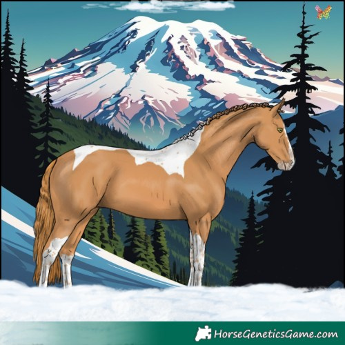 Horse Color:Chestnut Splash Tobiano