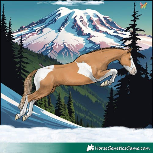 Horse Color:Chestnut Splash Tobiano