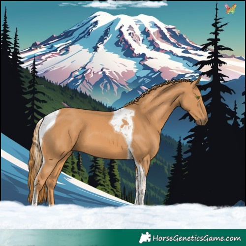 Horse Color:Chestnut Tobiano