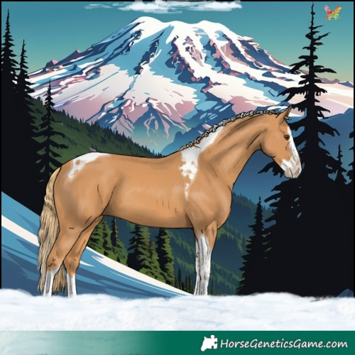 Horse Color:Chestnut Splash Tobiano 