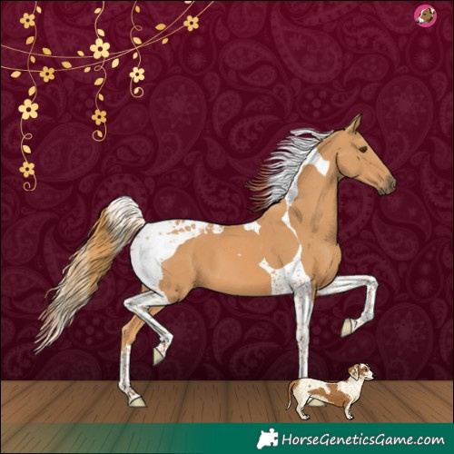Horse Color:Chestnut Tobiano 