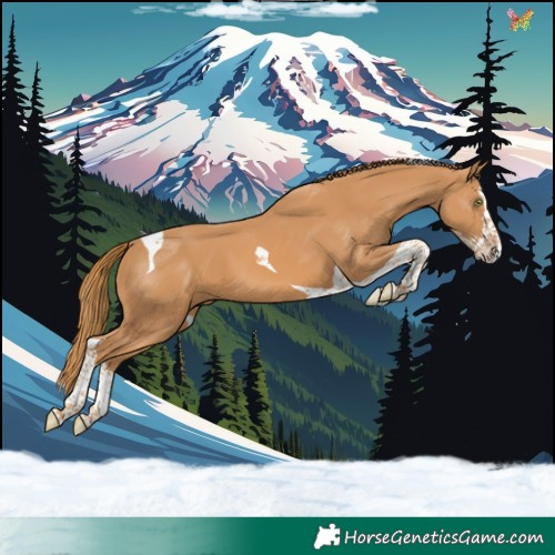 Horse Color:Chestnut Splash Tobiano