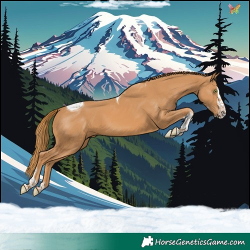 Horse Color:Chestnut Splash Tobiano