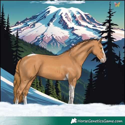 Horse Color:Chestnut Splash Tobiano