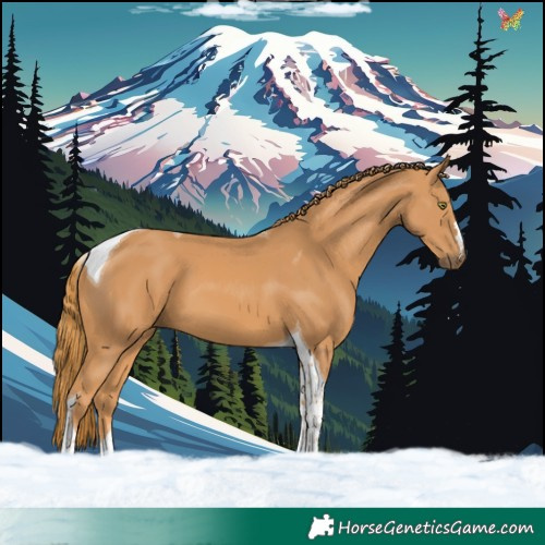 Horse Color:Chestnut Tobiano