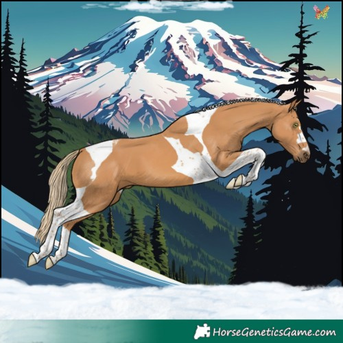 Horse Color:Chestnut Tobiano