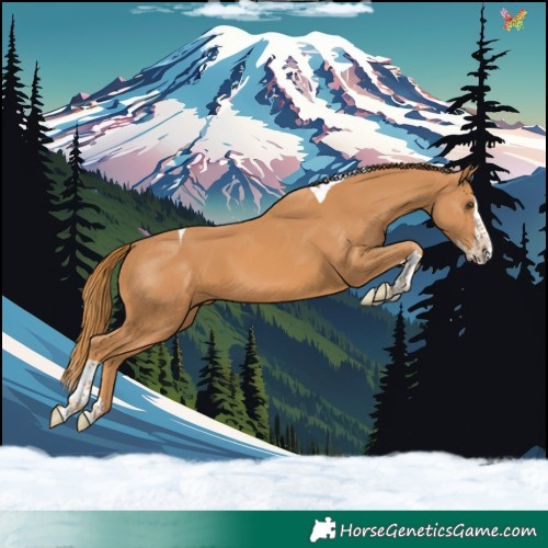 Horse Color:Chestnut Splash Tobiano