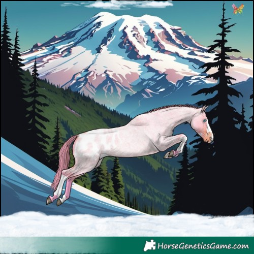Horse Color:Watercolor Bay Roan Dun Splash Tobiano Appaloosa 