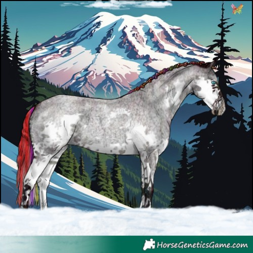 Horse Color:Painted Watercolor Midnight Liver Red Onyx Ice Roan Splash Tobiano