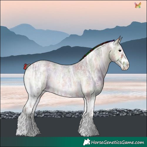 Horse Color:Painted Nacre Bay Ice Roan Onyx Splash 