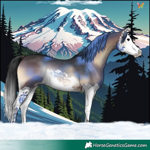 Horse Color:Brown Onyx Splash