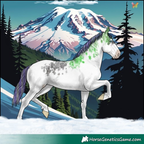 Horse Color:Painted White Spotted Brown Ice Splash Tobiano Appaloosa