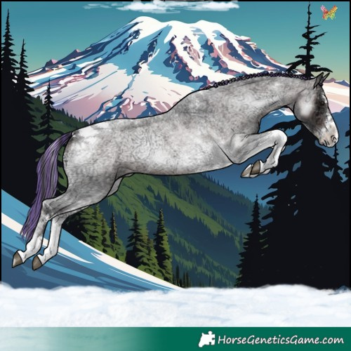 Horse Color:Platinum Painted Brown Ice Roan Onyx Splash Tobiano