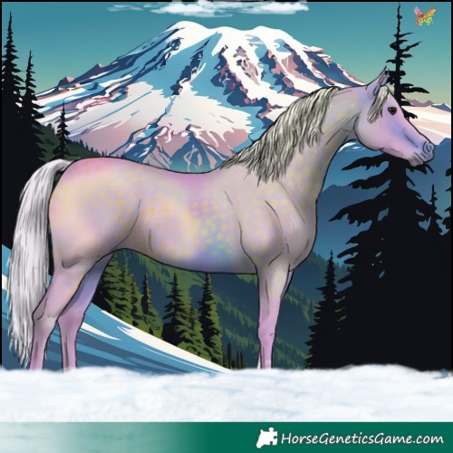 Horse Color:Watercolor Silver Brown Tobiano 