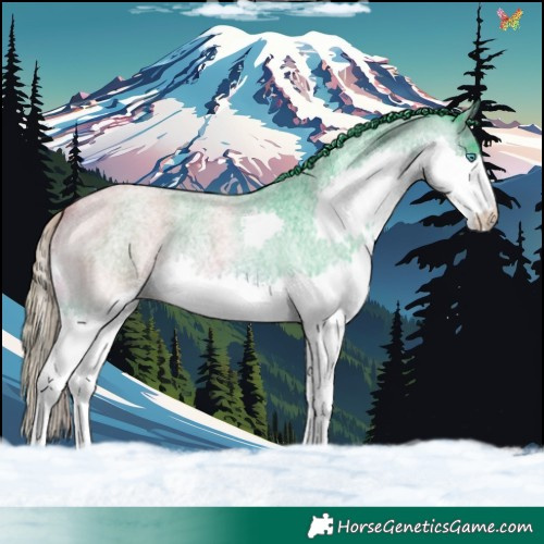Horse Color:Watercolor Brown Roan Splash 
