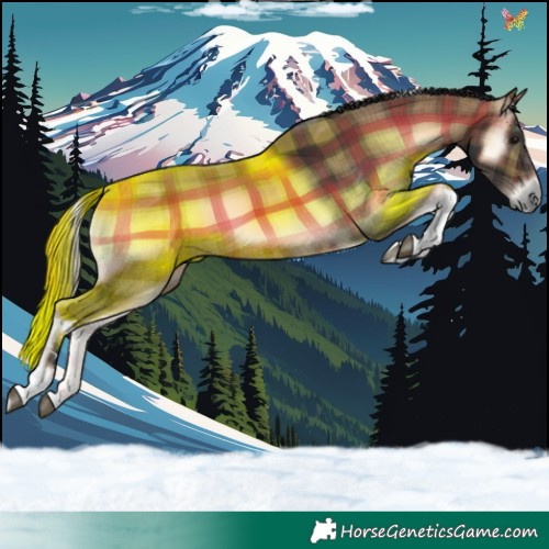 Horse Color:Plaid Brown Onyx Tobiano