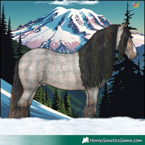 Horse Color:Plaid Brown Roan