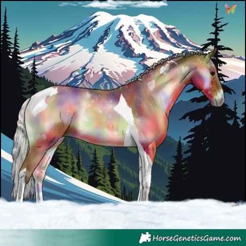 Horse Color:Nacre Silver Bay Onyx Tobiano