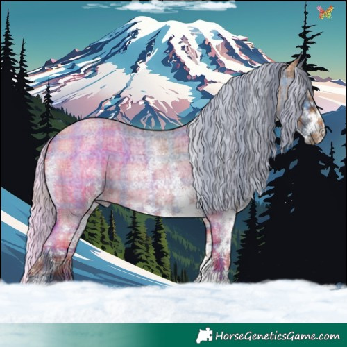 Horse Color:Plaid White Spotted Silver Bay Roan