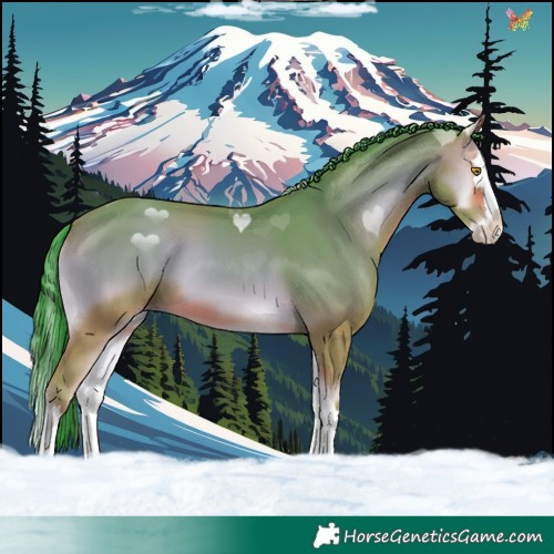 Horse Color:Watercolor Sable Champagne Onyx Splash 