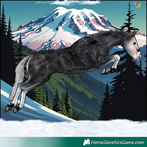 Horse Color:Void Watercolor Silver Buckskin Roan Onyx 