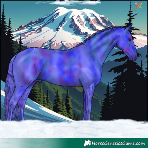 Horse Color:Nacre Watercolor Black Tobiano