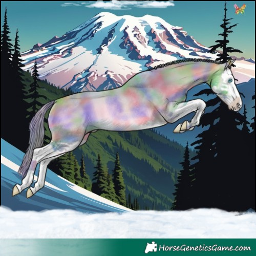 Horse Color:Nacre Watercolor Buckskin Onyx Splash Rabicano