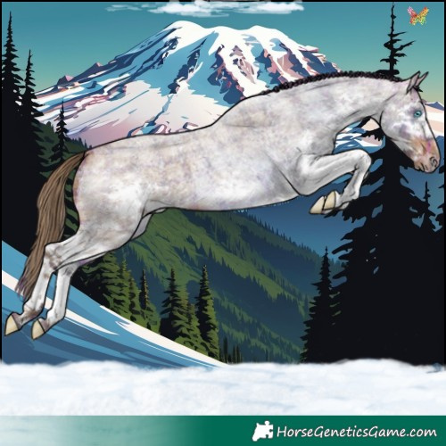 Horse Color:Plaid Bay Roan Splash