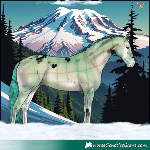 Horse Color:Void Watercolor Plaid  Sable Champagne Onyx Varnish 