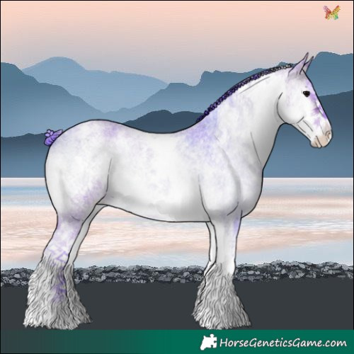 Horse Color:Watercolor White Spotted Bay Roan Onyx 