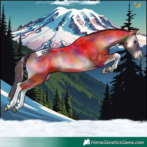 Horse Color:Nacre Brown Onyx Tobiano 