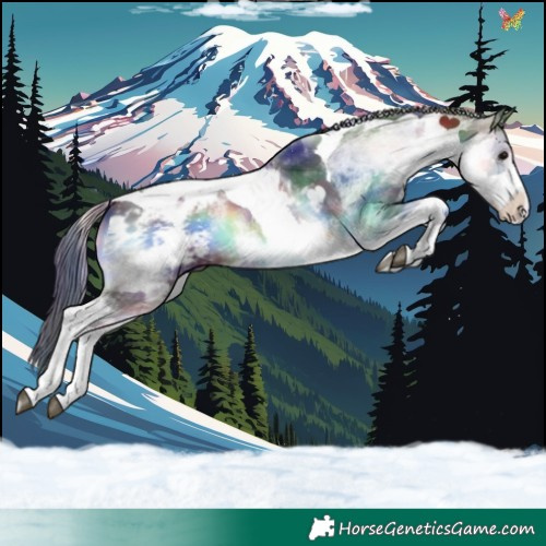 Horse Color:Nacre White Spotted Brown Onyx Tobiano Blanket 