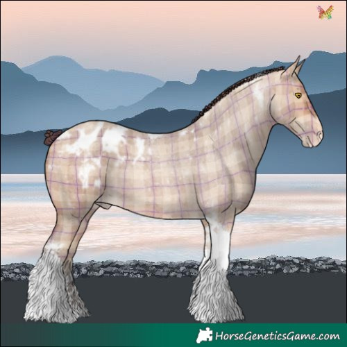 Horse Color:Plaid Amber Champagne Roan Tobiano Blanket