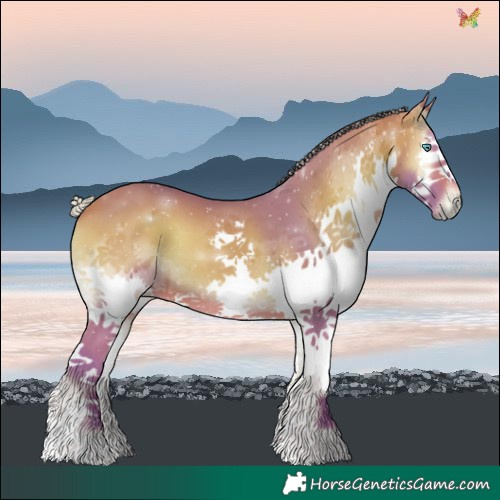 Horse Color:Watercolor Silver Bay Onyx Splash 