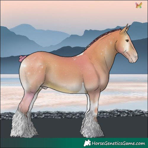 Horse Color:Watercolor Sable Champagne Onyx Tobiano 