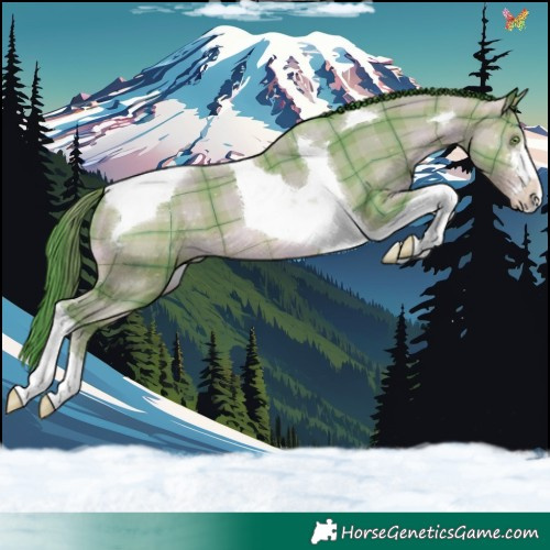 Horse Color:Watercolor Plaid Amber Champagne Tobiano