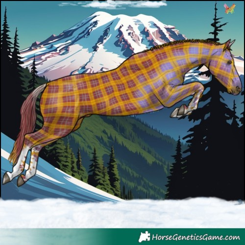 Horse Color:Watercolor Plaid White Spotted Liver Chestnut Tobiano