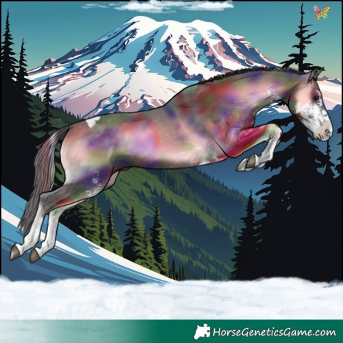 Horse Color:Nacre White Spotted Brown Onyx Tobiano