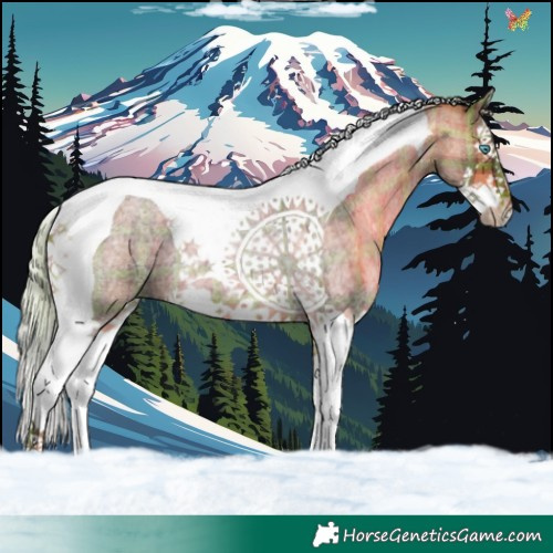Horse Color:Plaid  Silver Brown Roan Splash Tobiano 
