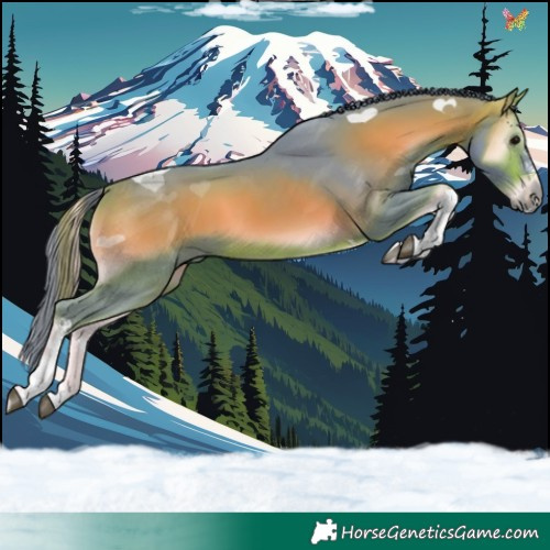 Horse Color:Watercolor Bay Onyx Tobiano