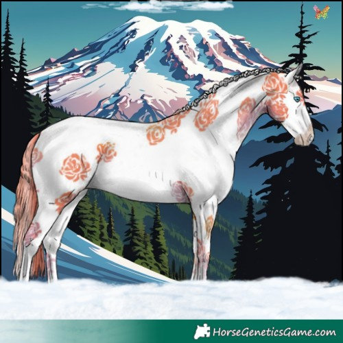 Horse Color:Watercolor White Spotted Liver Chestnut Splash Tobiano