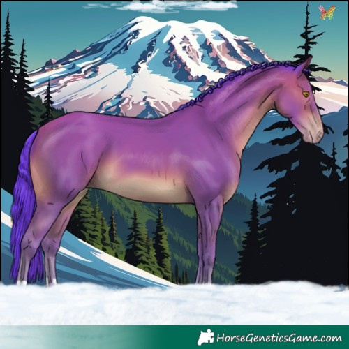 Horse Color:Watercolor Sable Champagne