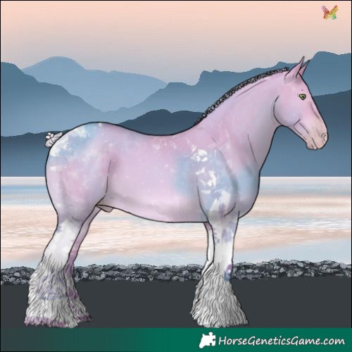 Horse Color:Watercolor Silver Sable Champagne Dun Tobiano