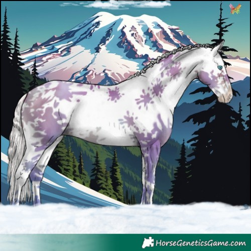 Horse Color:Watercolor White Spotted Silver Brown Pearl Splash Tobiano 