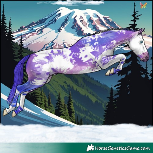 Horse Color:Watercolor Bay Dun Splash Tobiano 